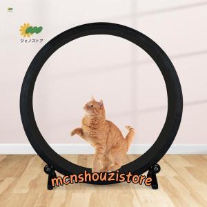 キャット ランニング ホイール スクラッチャー ボード ミュート トレーナー 子猫 トレーニング キティ用｜mcnshouzistore