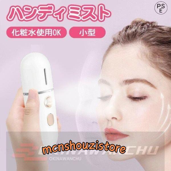 ハンディミスト スチーム 美顔 フェイススチーマー 12ml 美顔スチーマー 美顔器 加湿器 スチー...
