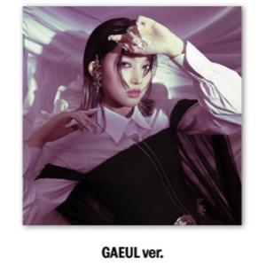 [メンバー選択可] IVE 公式グッズ IVE...の詳細画像4