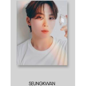 [メンバー選択可] SEVENTEEN 公式グ...の詳細画像5