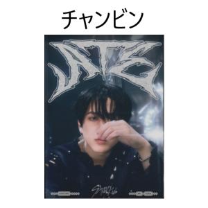 [メンバー選択可] StrayKids 公式グ...の詳細画像3