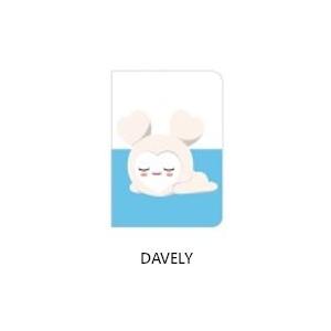 TWICE 公式グッズ LOVELY PASS...の詳細画像2