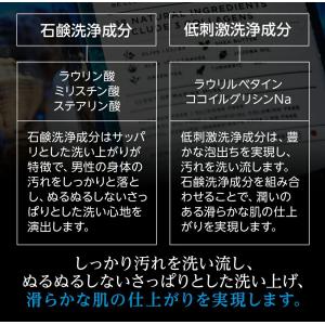 ボディソープ ボディーソープ メンズ REDE...の詳細画像5