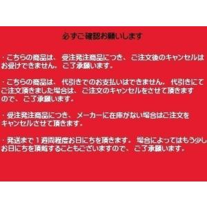 RAP-001 パームプロテクター ナンカイ ...の詳細画像2