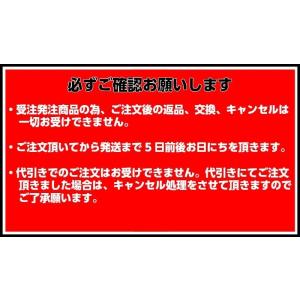 Sorayu 後付けフロント用チャイルドシート...の詳細画像1