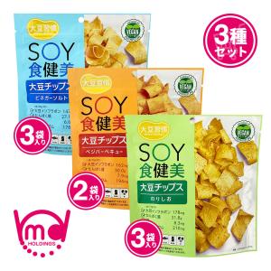 スナック菓子 大豆チップス のり塩 ビネガーソルト ベジバーベキュー イソフラボン ヴィーガン 大豆習慣 SOY食健美 3種セット