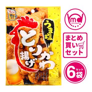おつまみ とり皮 から揚げ 塩 スナック菓子 宅飲み 6袋セット