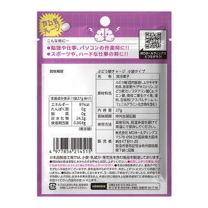ぶどう糖 タブレット 健康 集中 勉強 小袋タイプの詳細画像1