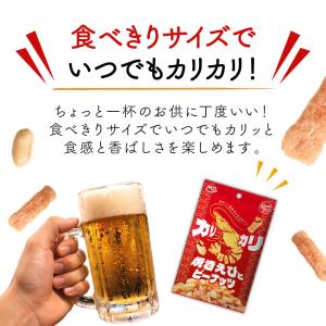 おつまみ 珍味 お菓子 海鮮 カリカリ 焼きえ...の詳細画像4