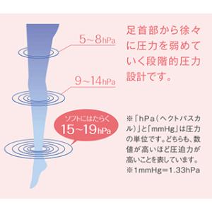 ジョブスト JOBST サポートストッキング ...の詳細画像1
