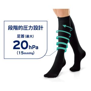 ジョブスト ライトウェア　アイボリー　S　ハイソックス　男女兼用　JP-LWS10KSVR