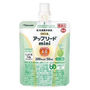 テルミール アップリード mini メロン風味 UL-M0520CP 3個 小分けセット　ネコポス発送