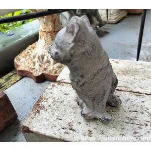 子猫のサーシャ(ガーデンオーナメント、オブジェ)の詳細画像4
