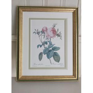 ルドゥテのバラ（ルドゥーテローズ）のフレーム額絵（ゴールドグリーン）No.1