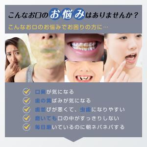 電動歯ブラシ ギフト 歯ブラシ 音波式 IPX...の詳細画像2