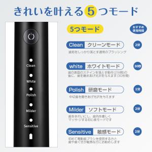 電動歯ブラシ ギフト 歯ブラシ 音波式 IPX...の詳細画像5