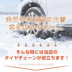 タイヤチェーン 布製タイヤチェーン スノーソッ...の詳細画像2