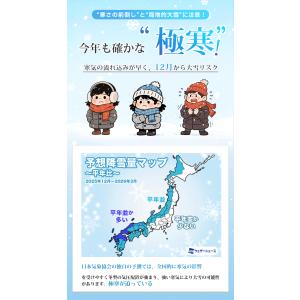 タイヤチェーン 布製タイヤチェーン スノーソッ...の詳細画像1