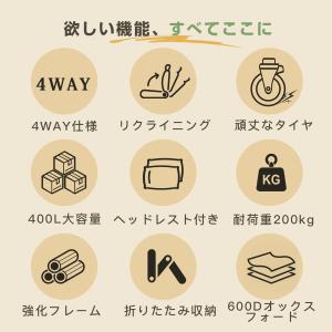 キャリーワゴン キャリーカート 実用新案権取得...の詳細画像3