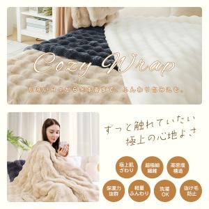 毛布 シングル ふわとろ毛布 ブランケット 2...の詳細画像2