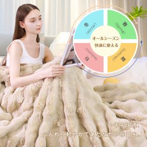毛布 シングル ふわとろ毛布 ブランケット 2...の詳細画像3