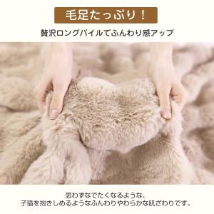 毛布 シングル ふわとろ毛布 ブランケット 2...の詳細画像4