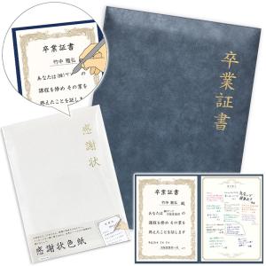 感謝状 卒業証書 色紙 寄せ書き メッセージカード 思い出 卒業 退職 記念 送別 立体色紙 贈り物 お祝い 友達 友人 プレゼント 感謝 証書 //メール便 送料無料