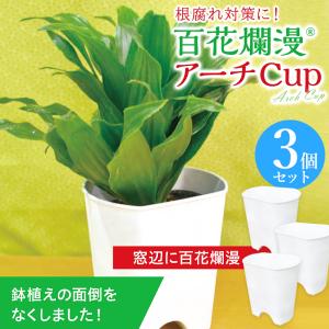 鉢 植木鉢 5個+1個セット 6個 プランター 植え替え 園芸 園芸用品 農業