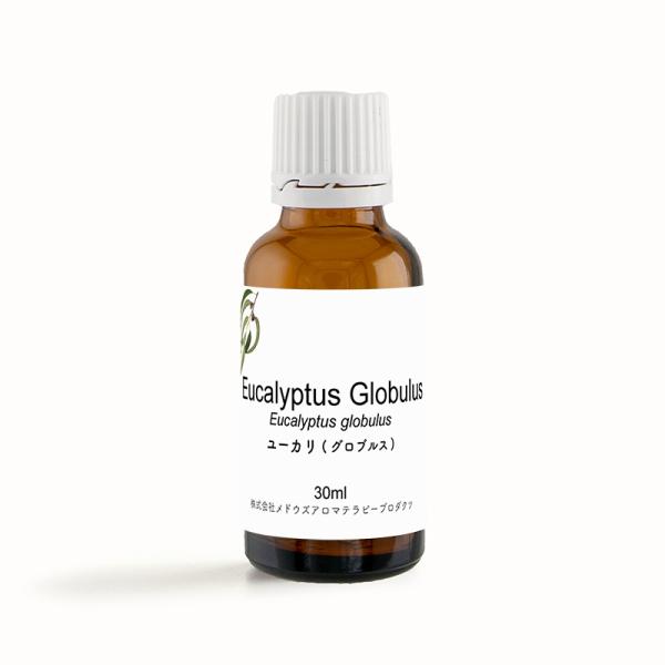 ユーカリ業務用（グロブルス・オーストラリア産）エッセンシャルオイル30ml （50ml 100mlサ...