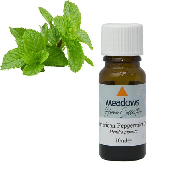 ペパーミント 10ml | メドウズ ホームコレクションエッセンシャルオイル
