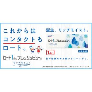 【4箱】ロート ワンデーフレッシュビュー リッ...の詳細画像1
