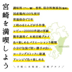 セール ポイント利用 お試し商品 サンプル 1...の詳細画像2