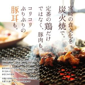 セール ポイント利用 お試し商品 サンプル 1...の詳細画像4