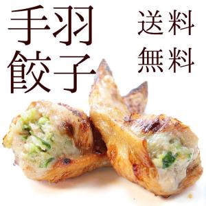 送料無料 手羽先餃子 選べる4種 お試しセット 20本 焼き...