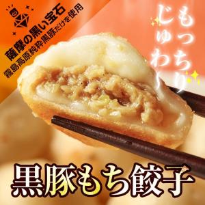 冷凍食品 おもちのぎょうざ 黒豚もち餃子 20g×12個 冷凍 業務用 宮崎県 お取り寄せ 人気には訳あり 食品 グルメ ギフト｜meat-21