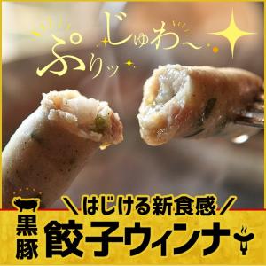 冷凍食品 送料無料 ぎょうざのウィンナー 黒豚餃子ウィンナー 20g×20個  冷凍