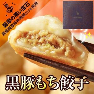 ギフト 高級 おつまみ お肉 食品 おつまみ おもちのぎょうざ　黒豚もち餃子 20g×24個 送料無料 ギフトボックス入｜meat-21