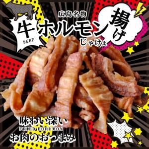 ポイント消化 500 送料無 食品 おつまみ 広島名物 揚げホルモンミックス