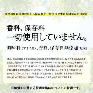 ポイント消化 500 送料無 簡易包装 訳あり...の詳細画像4