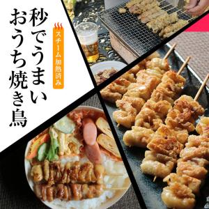 加熱済み スチーム焼き鳥 皮串 30g×100...の詳細画像1