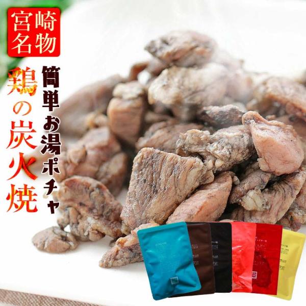 食品 お肉のおつまみ 焼き鳥 鶏の炭火焼き 100g×6 セット 鳥の炭火焼き 真空パック 宮崎名物...