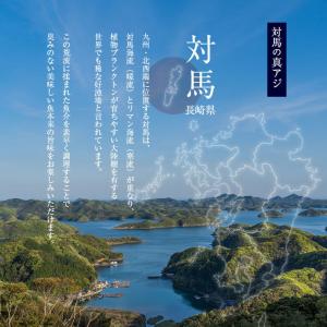 骨まで食べられる魚 干物 あじの干物 約50g...の詳細画像3