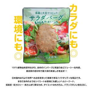 大豆ミート 1000円ポッキリ ビーガン食品 ...の詳細画像2