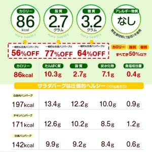 大豆ミート 1000円ポッキリ ビーガン食品 ...の詳細画像3