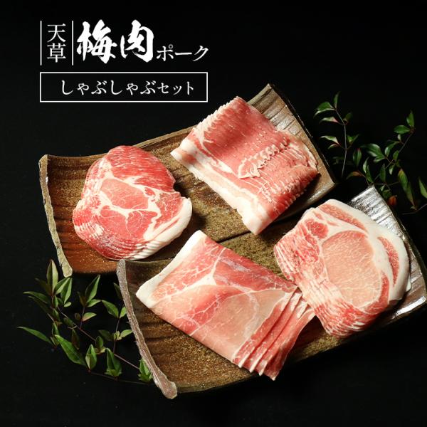 母の日 父の日 贈り物 天草梅肉ポーク 豚肉 しゃぶしゃぶセット ロース250g 肩ロース250g ...