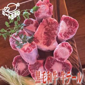 冷凍 牛テール (国産) 約1kg / 骨付き オックステール ブロック カット