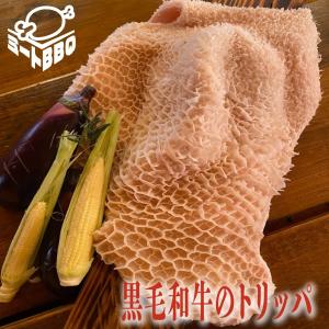 黒毛和牛のトリッパ　約500ｇ　バーベキュー　BBQ　パーティー　煮込み料理　焼肉　牛ハチノス　キャンプ｜meat-bbq