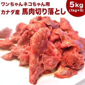 犬 馬肉 生肉 送料無料《5ｋｇまで同梱包ＯＫ！》【赤身5kg】《業務用簡易パック》カナダ産馬肉切り落とし【カタマリ】5kg　注！バラ凍結ではございません｜meat-gen