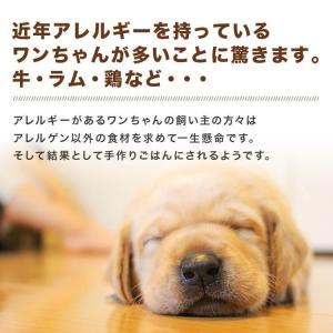 犬用 馬肉 切り落としブロック 赤身 10kg...の詳細画像5