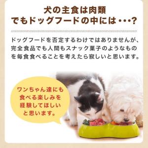 犬 馬肉 パラパラミンチ 1kg 500g×2...の詳細画像4